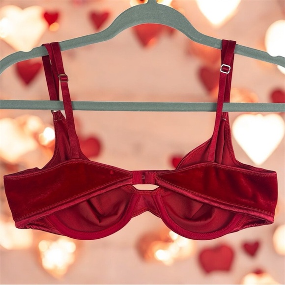 VTG Warner's "a little velvet" Red Velvet
Bra 36C No Padding - Very soft! - Picture 2 of 8